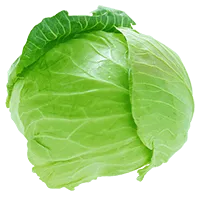 Капуста