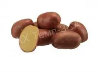 Картофель семенной Эволюшен 1я репродукция