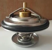 Термостат 04224847 (04224846)